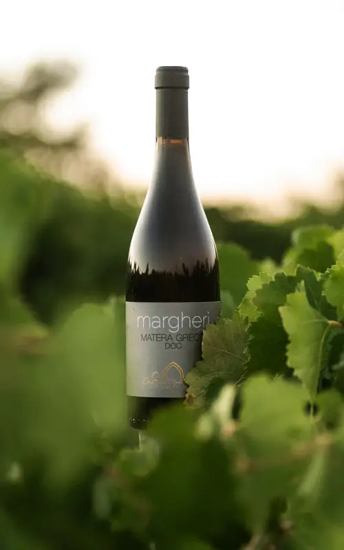 Vino Bianco Biologico Pluripremiato Margherì Matera Greco DOC