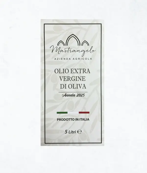 Olio di oliva 100% biologico formato 5 litri etichetta fronte