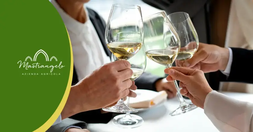 Curiosità sul Vino che non conosci