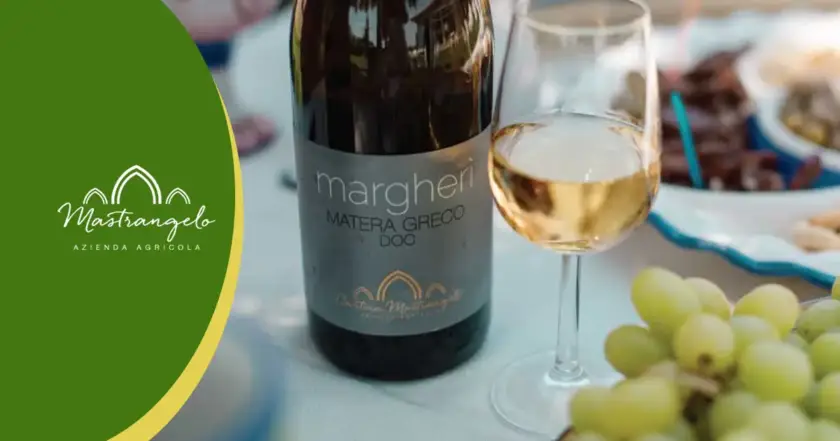 Come conservare il vino bianco biologico, consigli