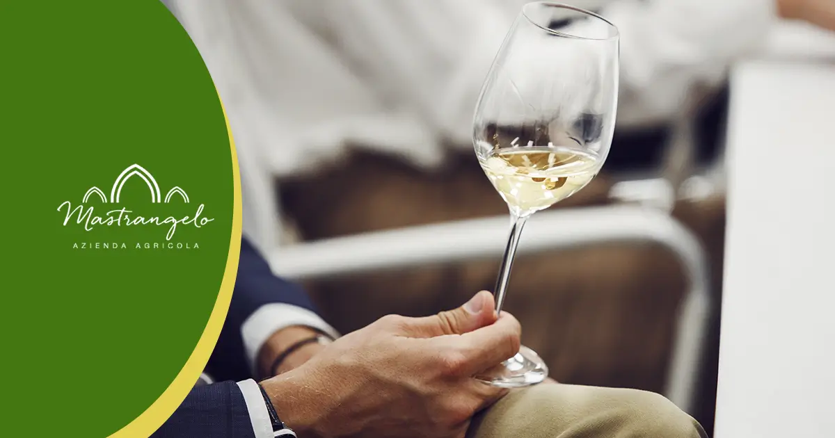 Costo Miglior Vino Bianco Biologico