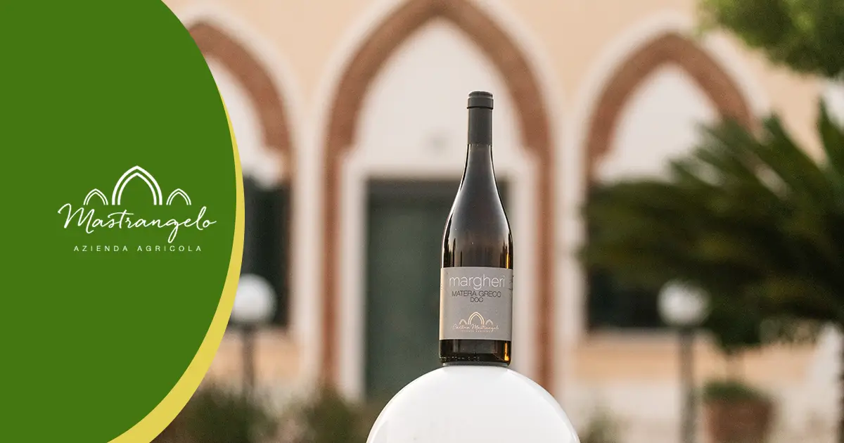 Il Golossario e il Margherì Matera Greco DOC