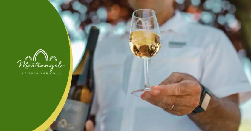 Il Miglior Vino Bianco di Qualità Italiano e Biologico