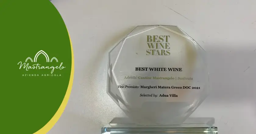 Margheri Vino Bianco Biologico al Matera Summer Wine