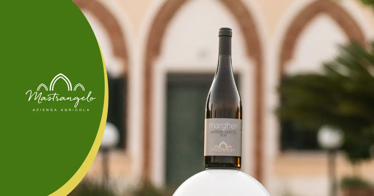 Come riconoscere un vino di alta qualità