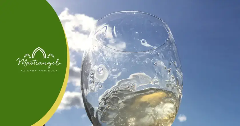 Vino Bianco di Qualità