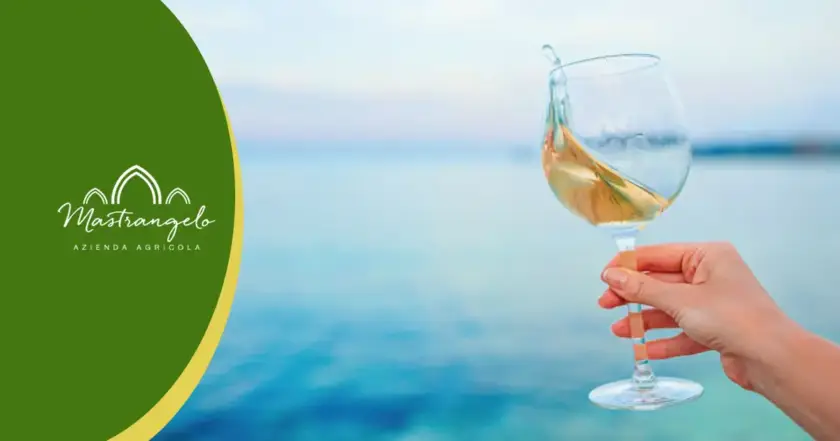 Vino Bianco Rinfrescante consigliato in estate