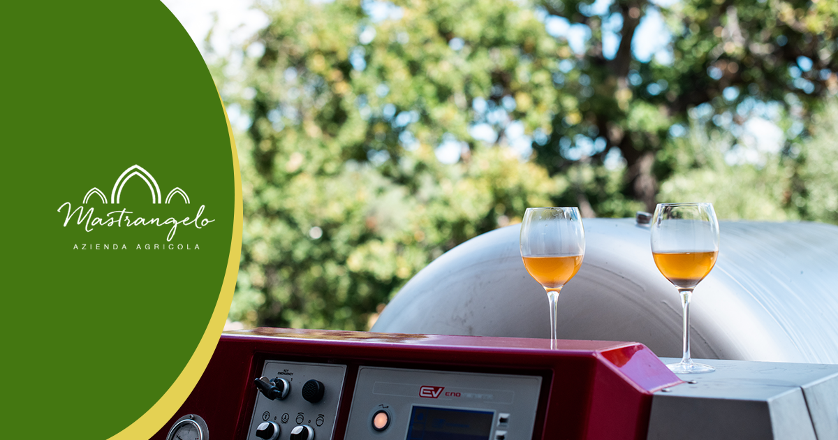 Margherì Vino Bianco Biologico Lucano