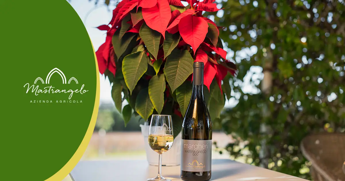 Vino da regalare a Natale: Margherì Matera Greco DOC