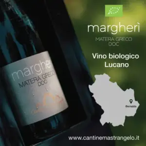 Vino Lucano Biologico: Tra i migliori vini italiani pregiati