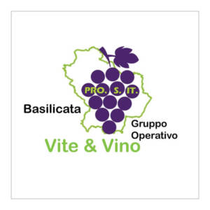 Vite e Vino