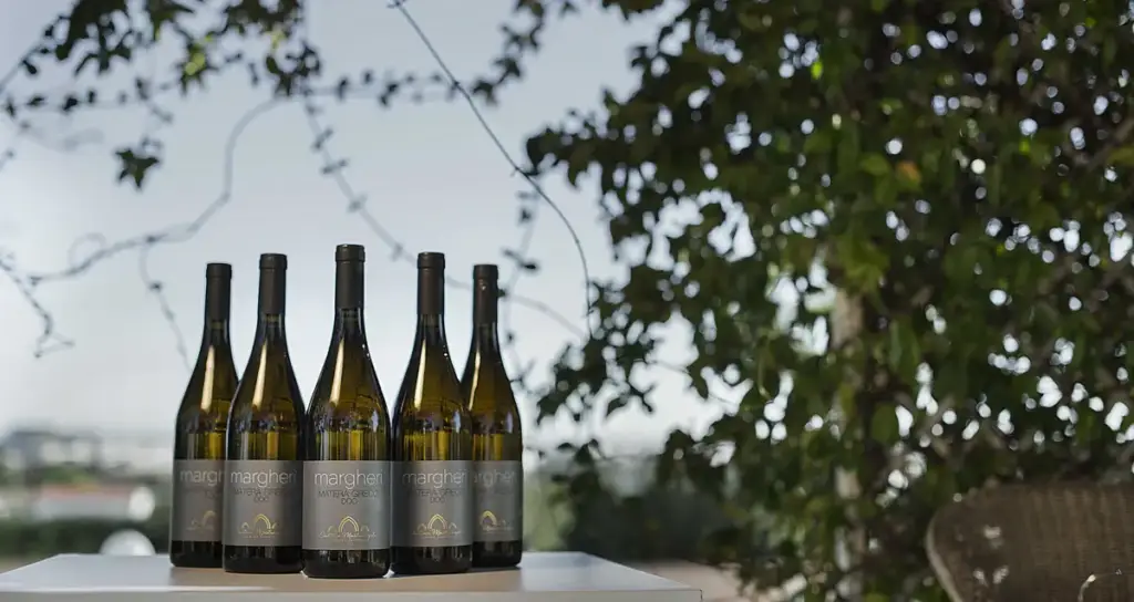 vino-bianco-biologico-alta-qualita